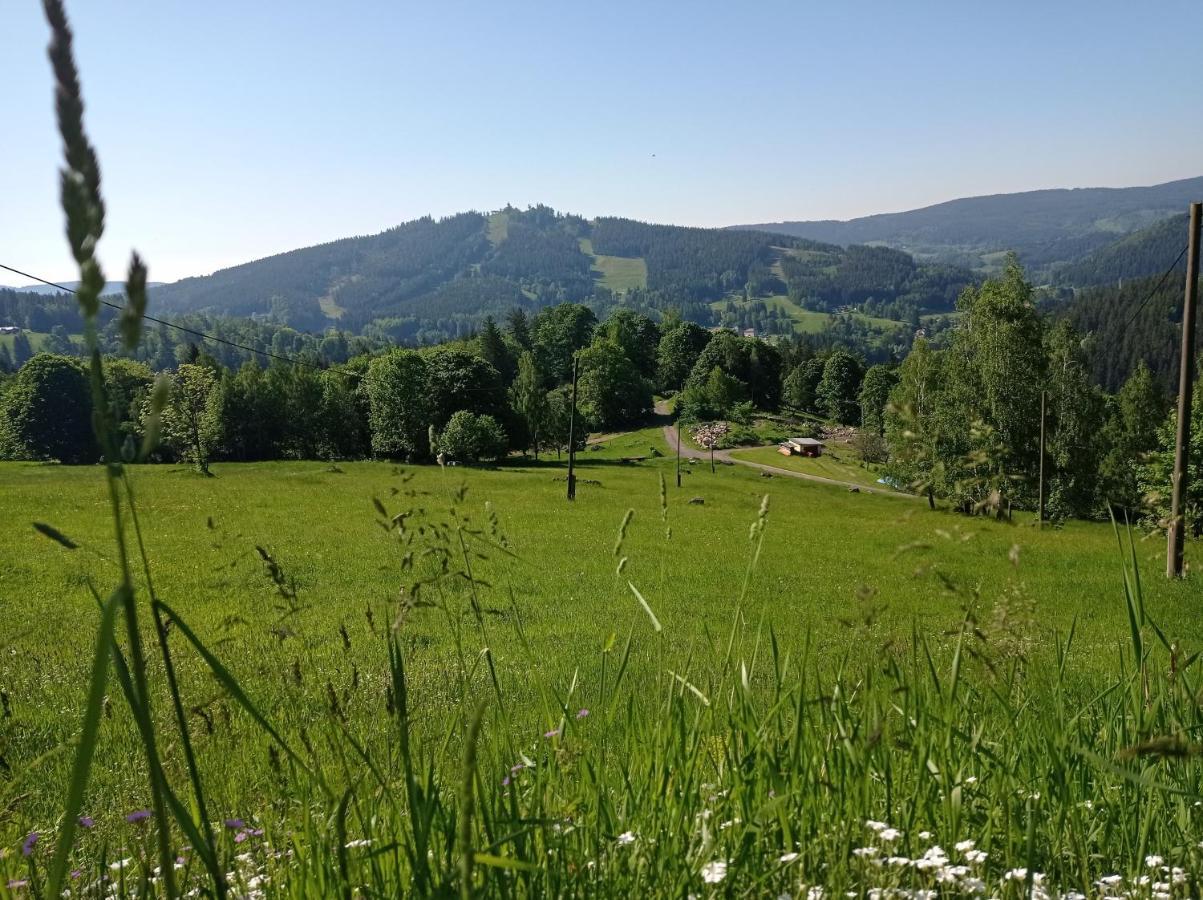 apartmány Kynast Albrechtice v Jizerskych horach Exterior foto